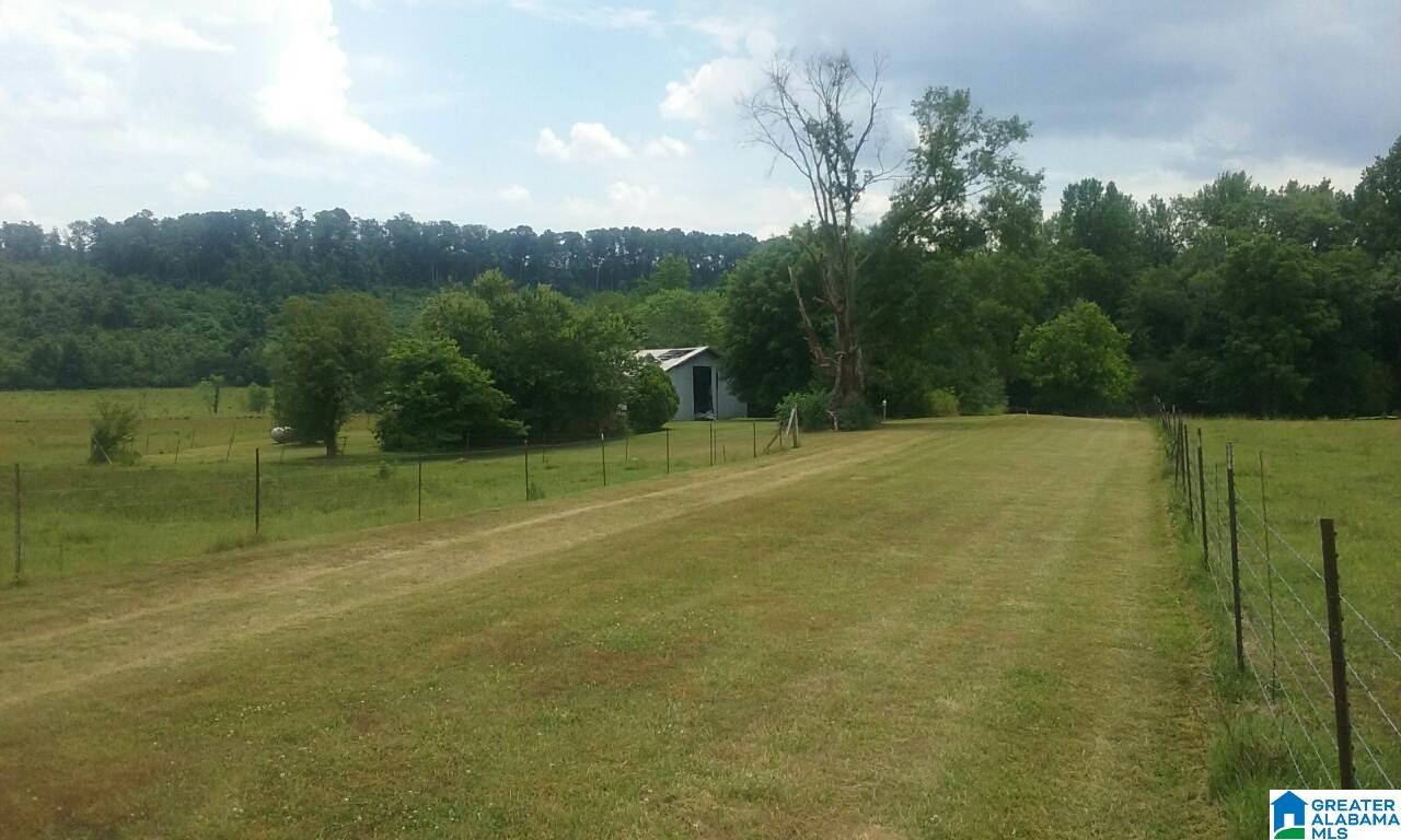 484 Wright Road Blountsville, AL 35031 - Photo 3 of 9