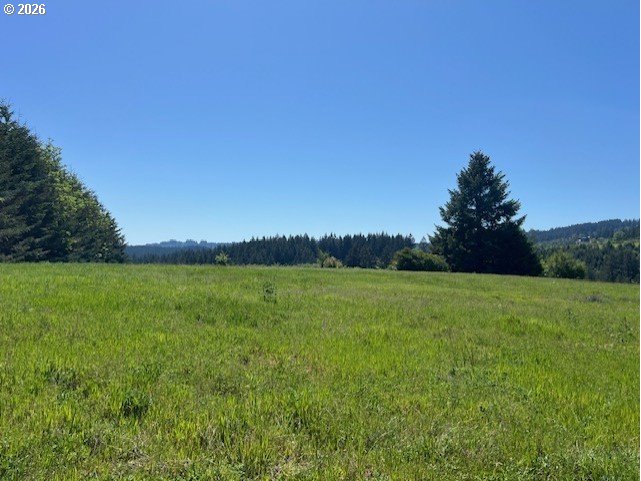 32784 Southwest Laurelview Road Hillsboro, OR 97123 - Photo 23 of 43
