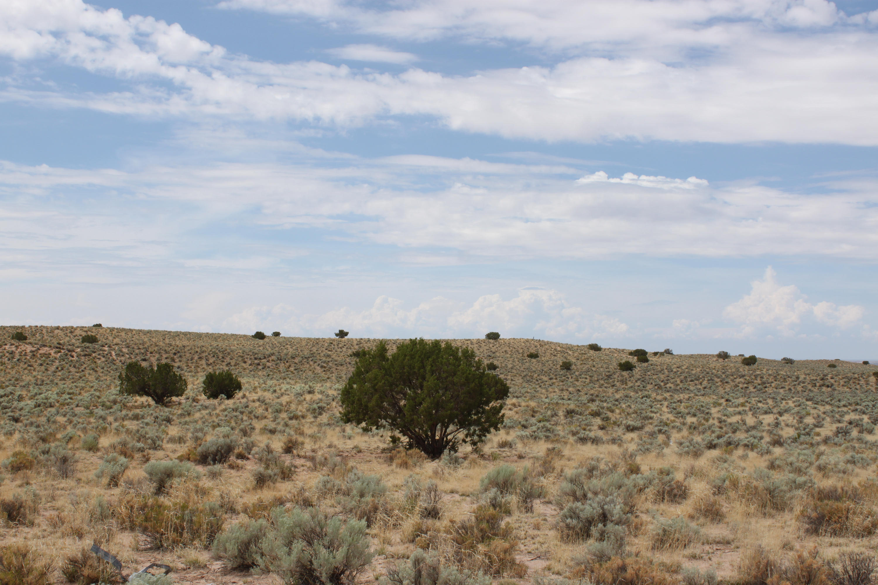 Lot #tbd Az 85936 Ranch Chambers, AZ 86502 - Photo 20 of 21