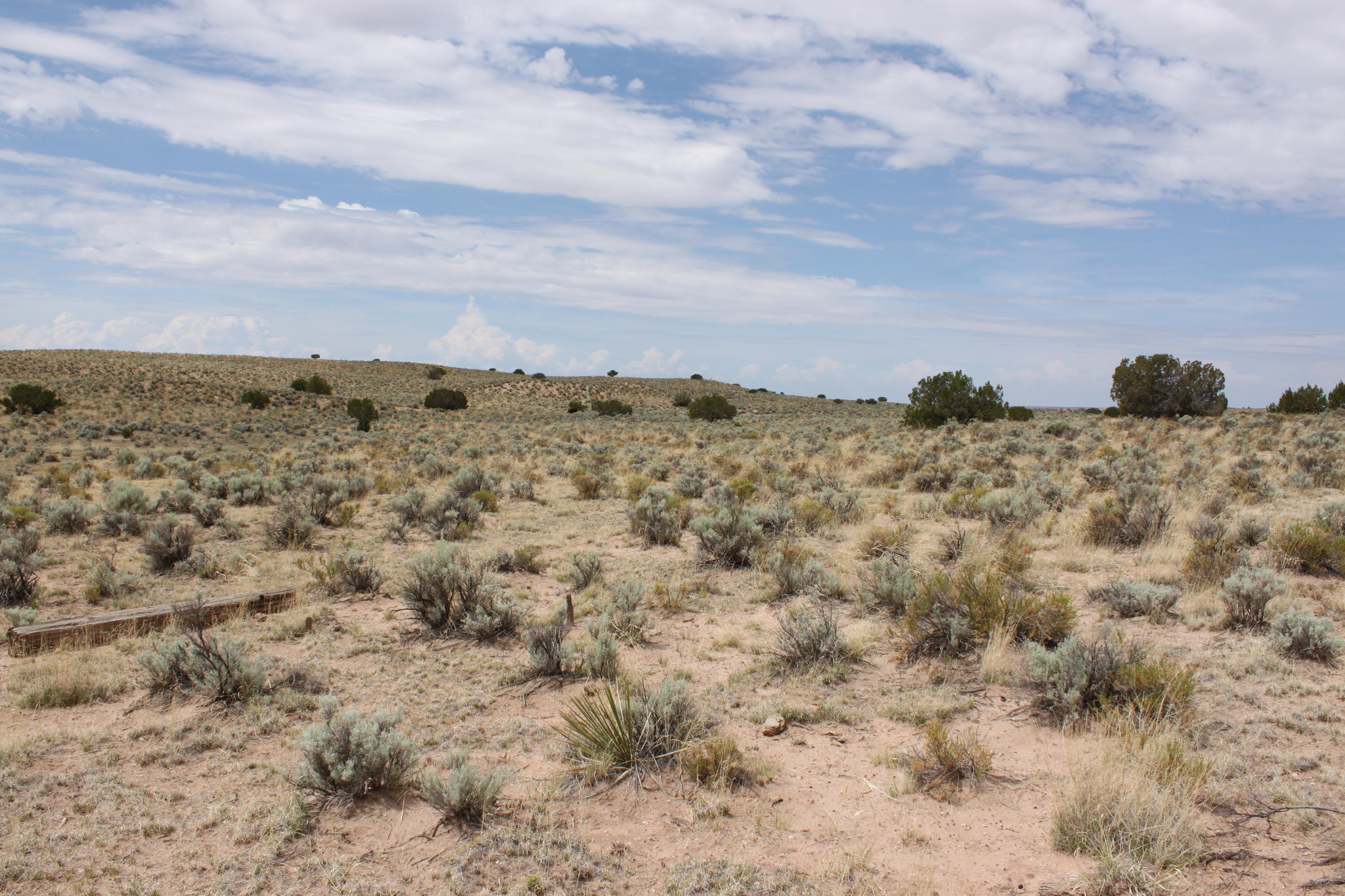 Lot #tbd Az 85936 Ranch Chambers, AZ 86502 - Photo 21 of 21