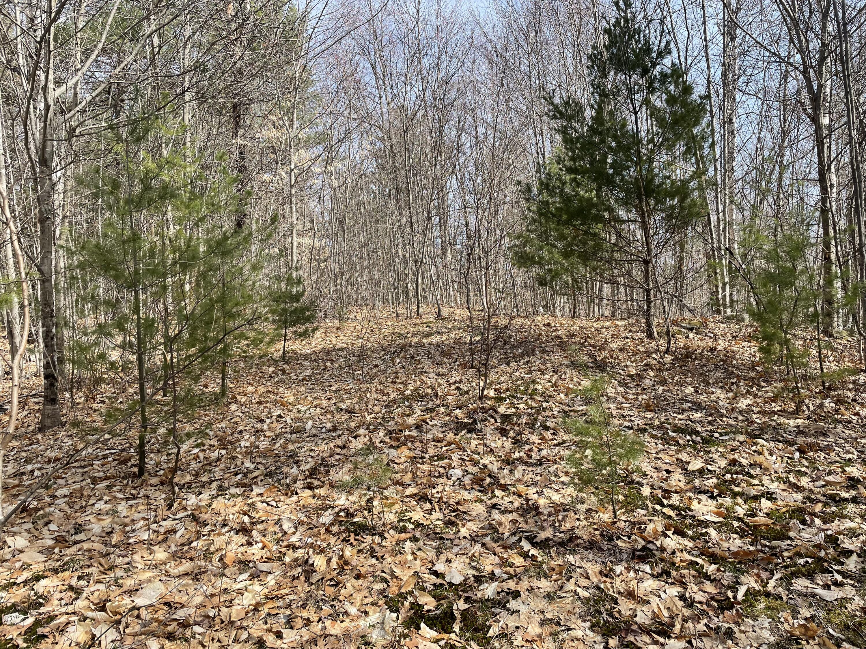 M02-l08-02 Ladd Road Mercer, ME 04957 - Photo 3 of 11 IMG_1194