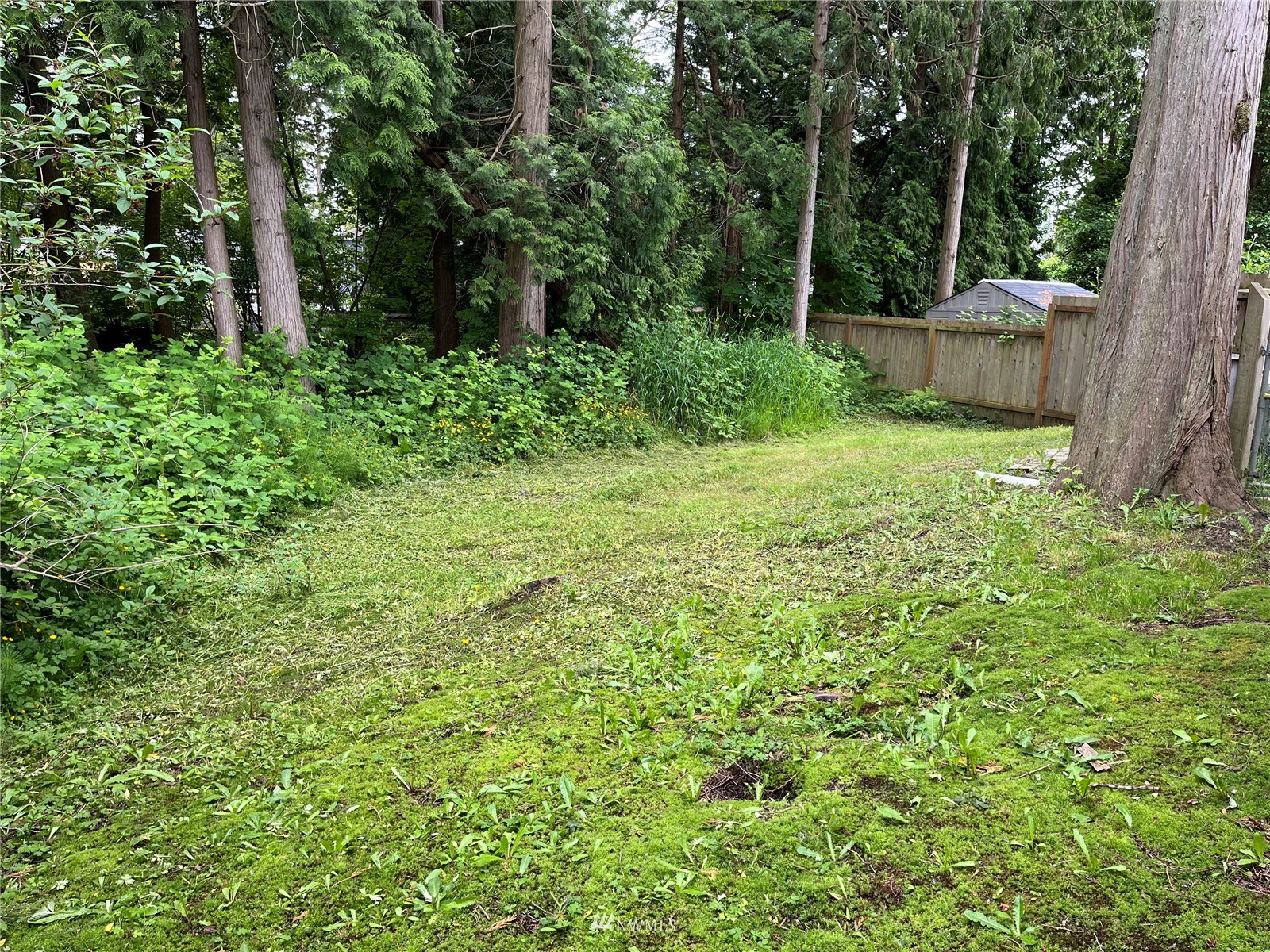 4929 Forsberg Road Blaine, WA 98230 - Photo 12 of 18 Gallery Image 12