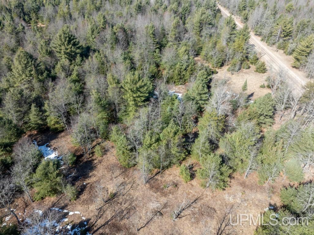 Tbd Dd Road Wetmore, MI 49895 - Photo 17 of 22
