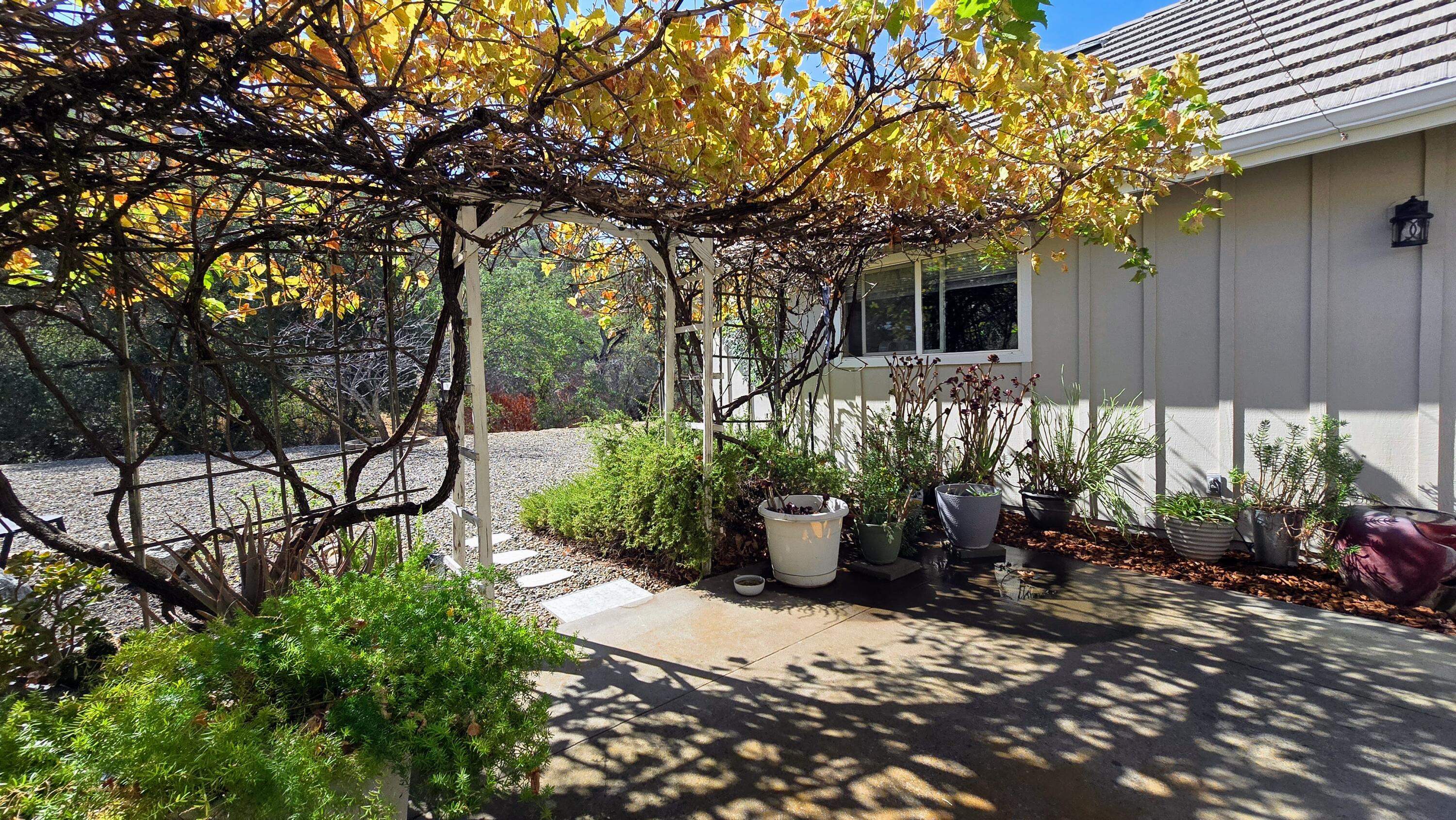 41299 East Mynatt Drive Three Rivers, CA 93271 - Photo 88 of 121 20250929_104152