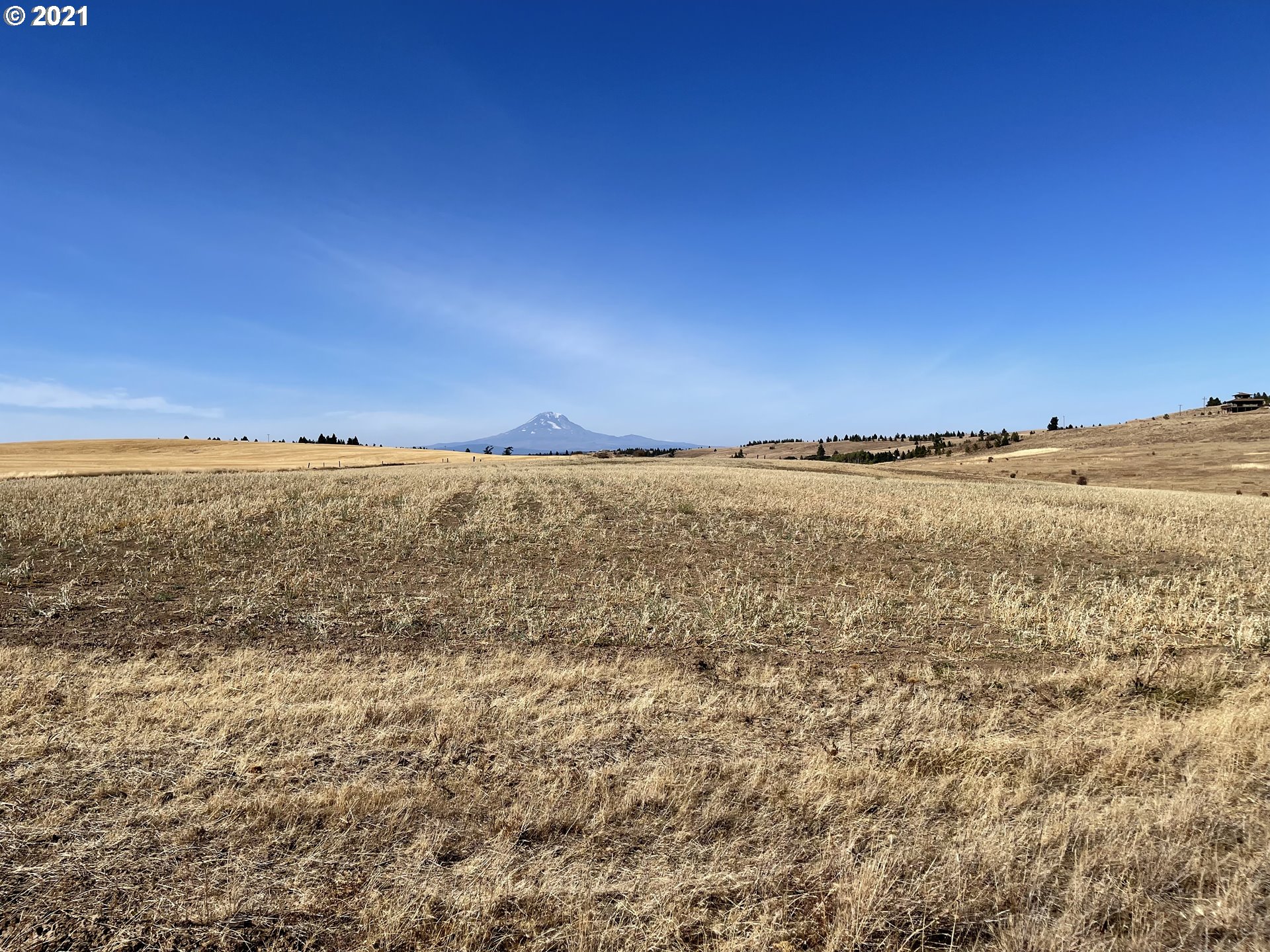 896 High Prairie Road Lyle, WA 98635 - Photo 9 of 30 Gallery Image 9