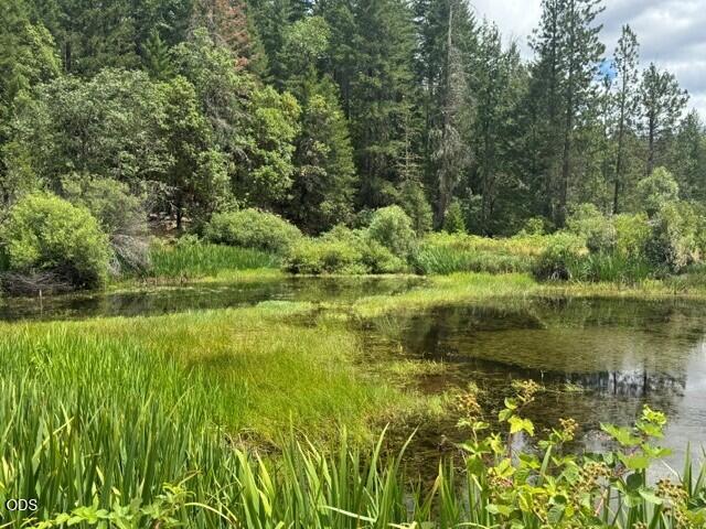 5345 West Side Road Cave Junction, OR 97523 - Photo 2 of 25