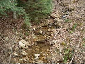 0 Little Bald Creek Road Erwin, TN 37650 - Photo 2 of 2 Photo 2