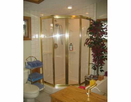 432 Virginia Avenue Rochester, PA 15074 - Photo 4 of 8 Master Bath/Spa.