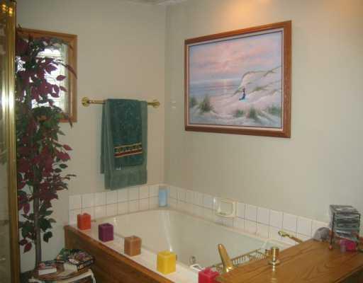 432 Virginia Avenue Rochester, PA 15074 - Photo 5 of 8 Master Bath/Spa.