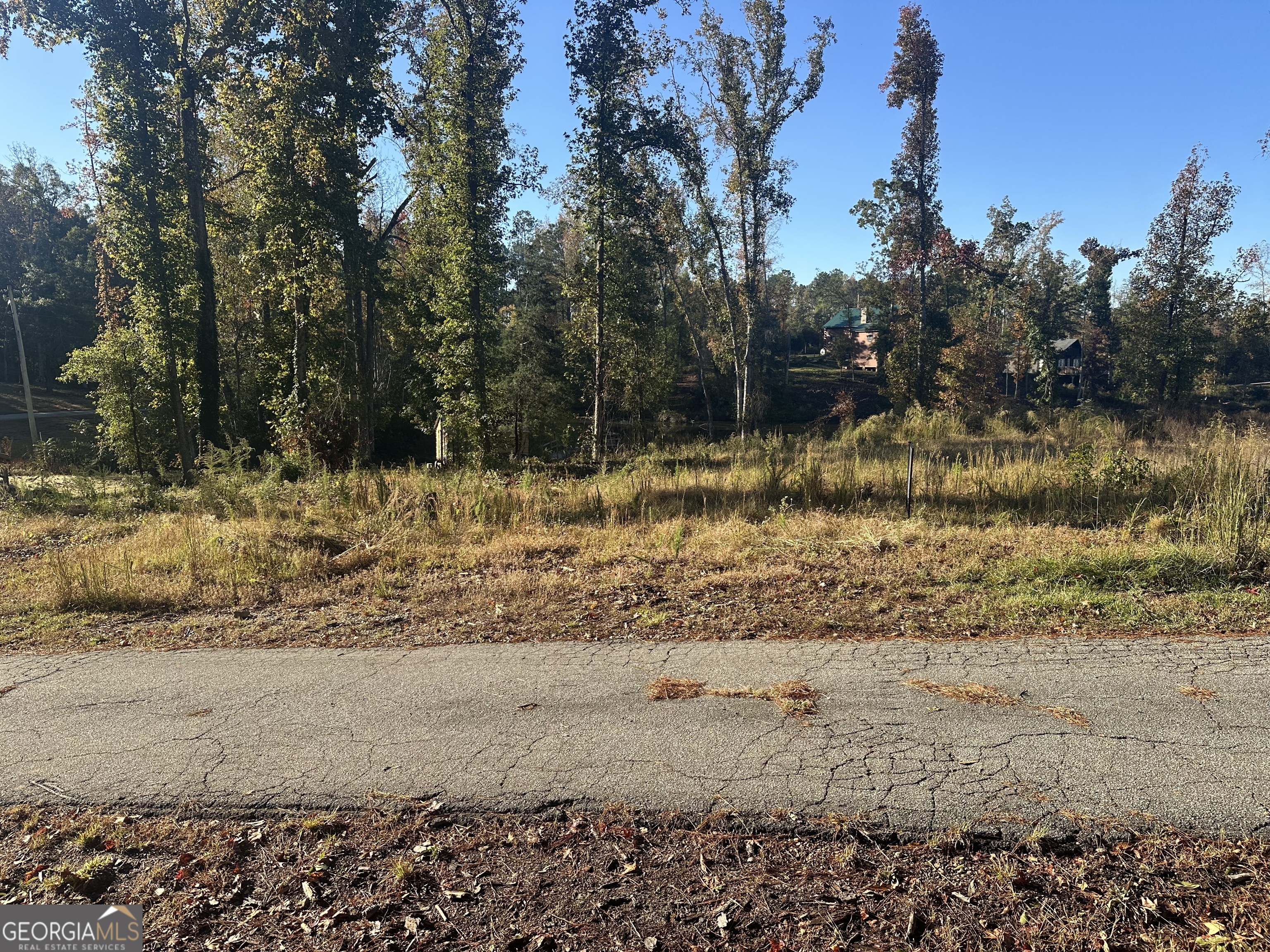 12 Cherokee Resort Road Pine Mountain, GA 31822 - Photo 3 of 12 a view of a yard covered with snow
