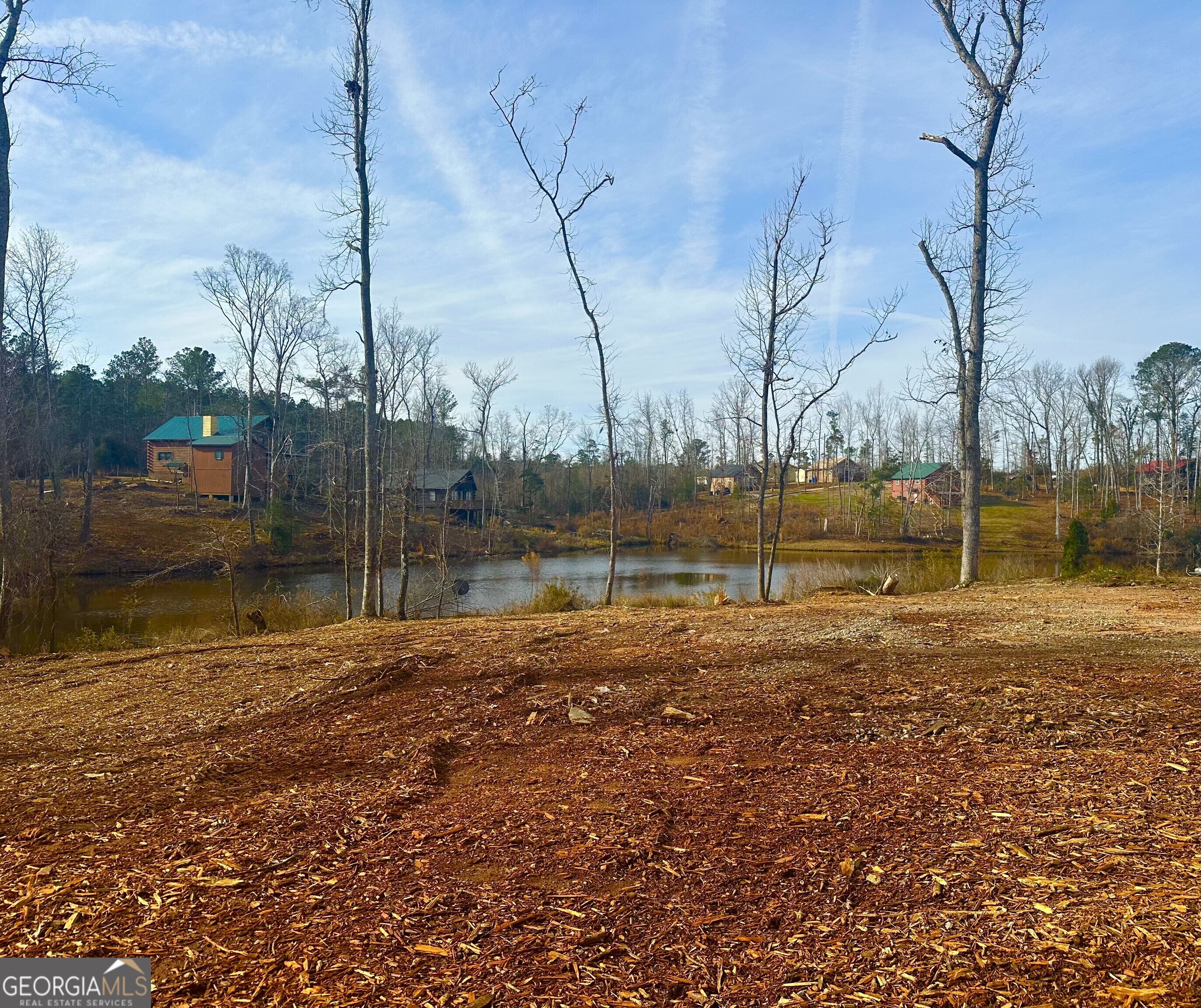 12 Cherokee Resort Road Pine Mountain, GA 31822 - Photo 10 of 12