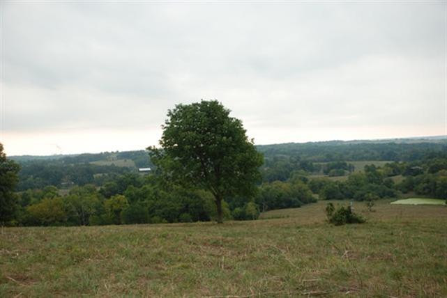 5844 Fords Mill Road Versailles, KY 40383 - Photo 41 of 58 Photo 41