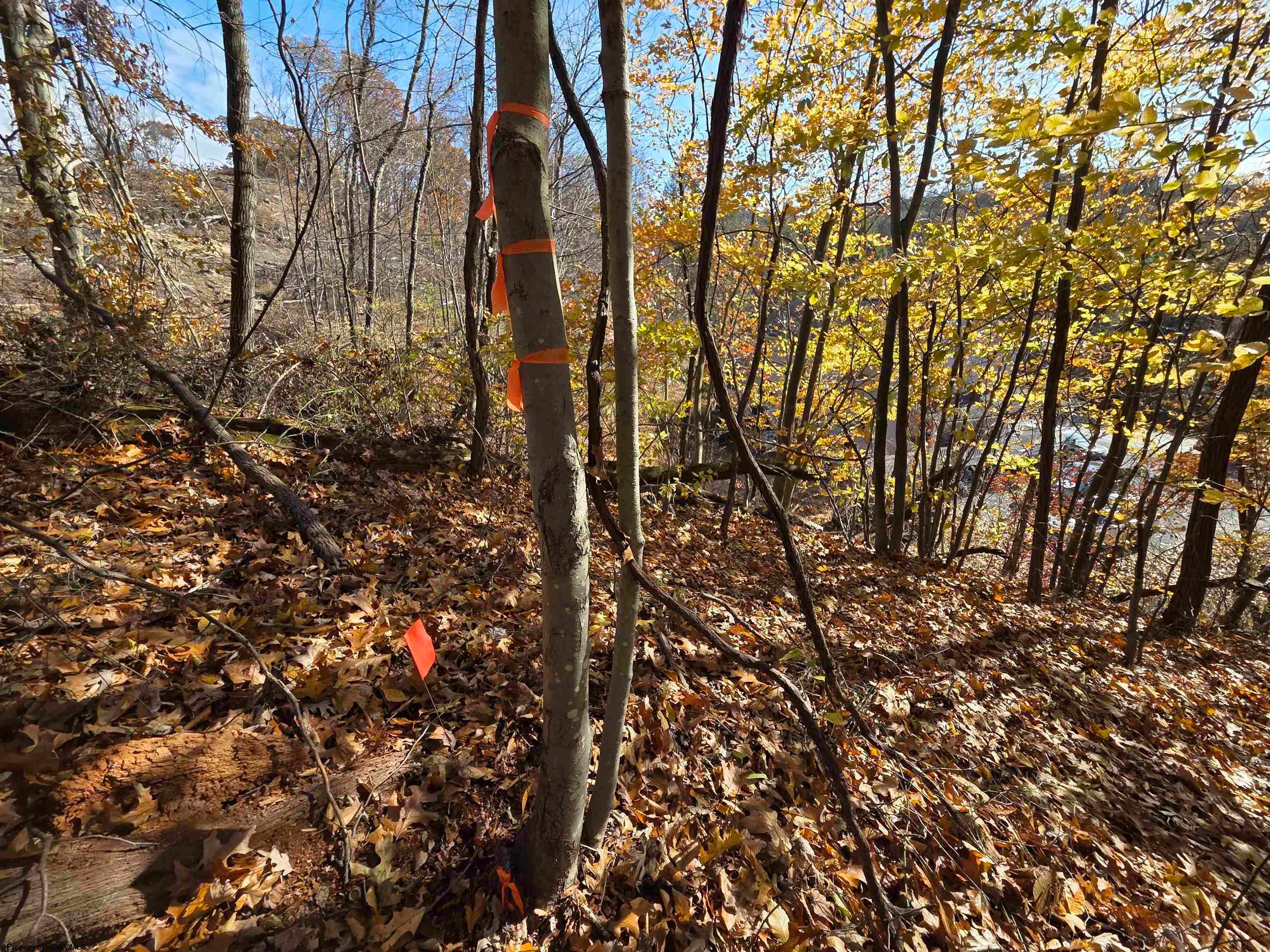 0 Old Cheat Road Morgantown, WV 26508 - Photo 14 of 27 Gallery Image 14