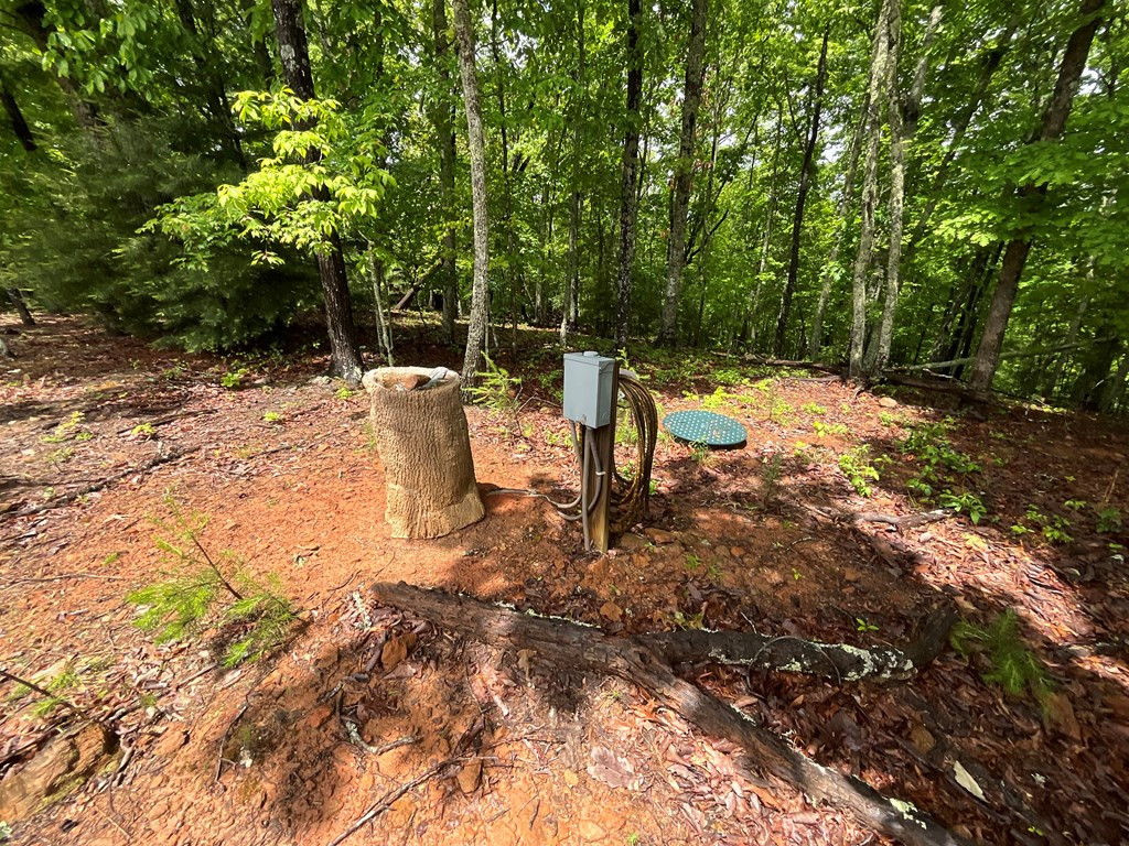 132 Duncan Road Murphy, NC 28906 - Photo 11 of 14 Gallery Image 11