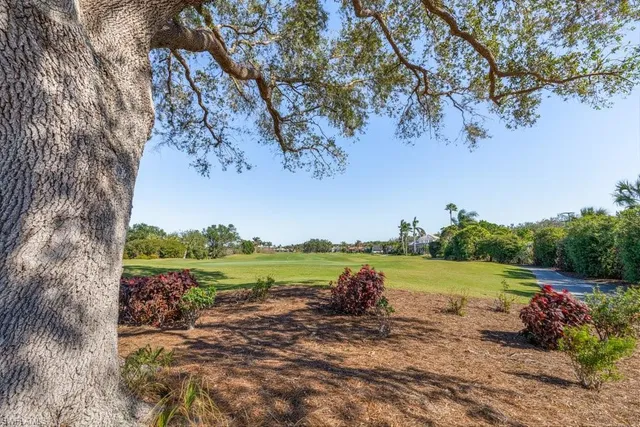 a view of a yard with an tree