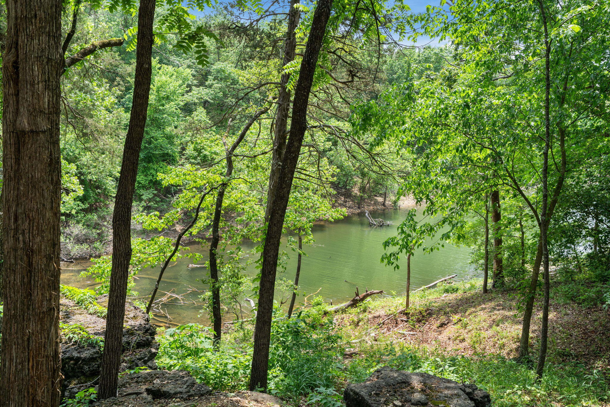 27278 Timber Springs Road Shell Knob, MO 65747 - Photo 20 of 43 see the water
