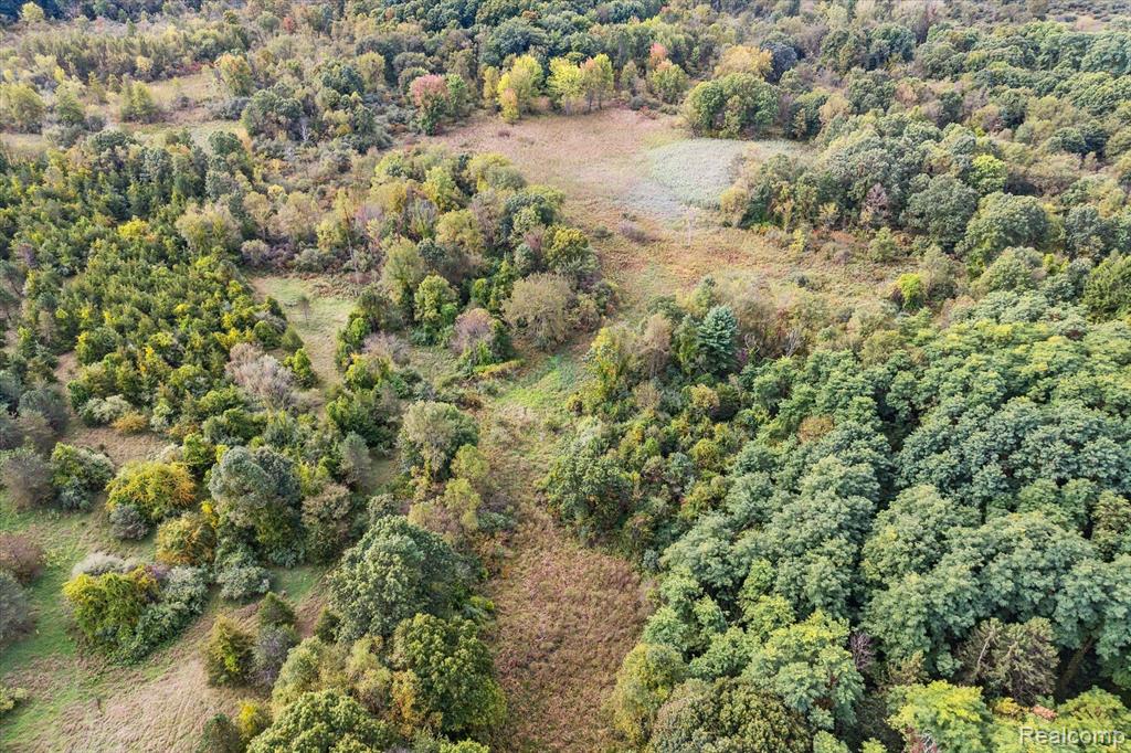 0 Swarthout Road Pinckney, MI 48169 - Photo 13 of 16