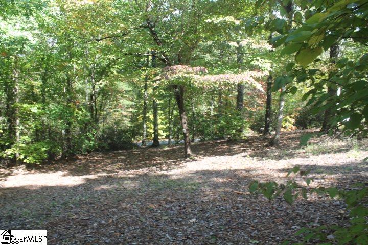 100 Hunters Ridge Pickens, SC 29671 - Photo 21 of 24