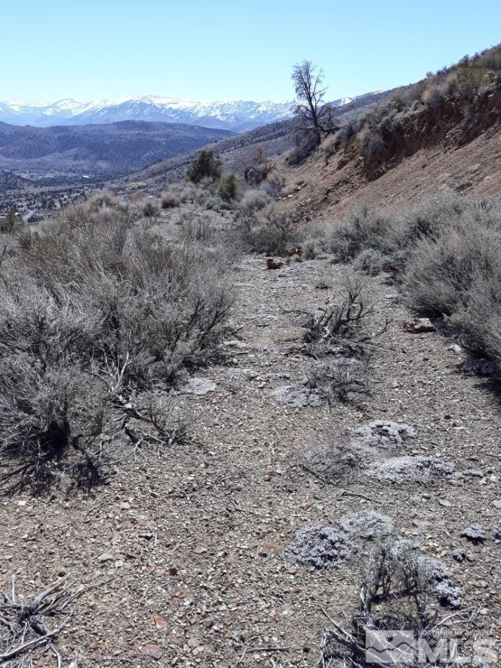 1196 Slate Road Wellington, NV 89444 - Photo 4 of 6 a view of a large tree in a field