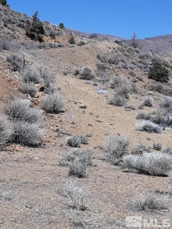 a view of a beach with a mountain in the background