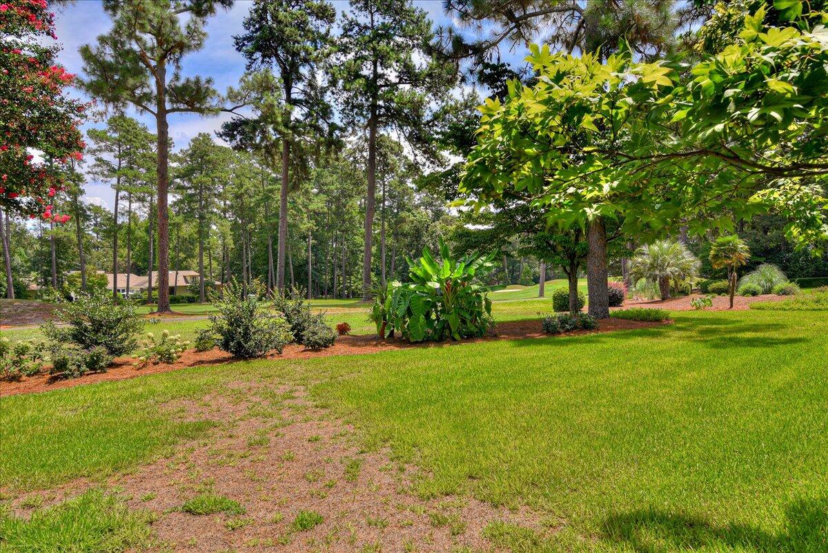 109 Live Oak Road Aiken, SC 29803 - Photo 48 of 49 Gallery Image 48