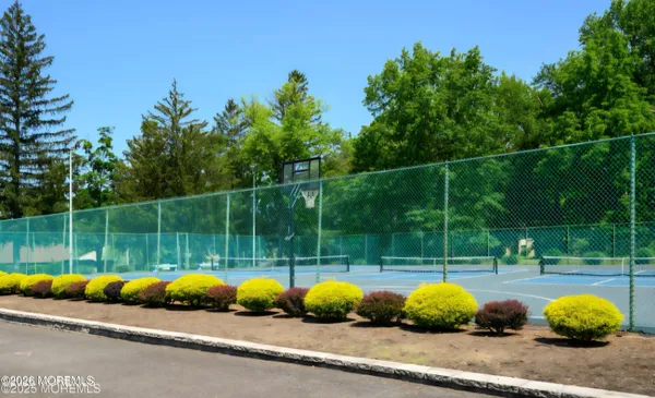a view of a park with large trees and plants