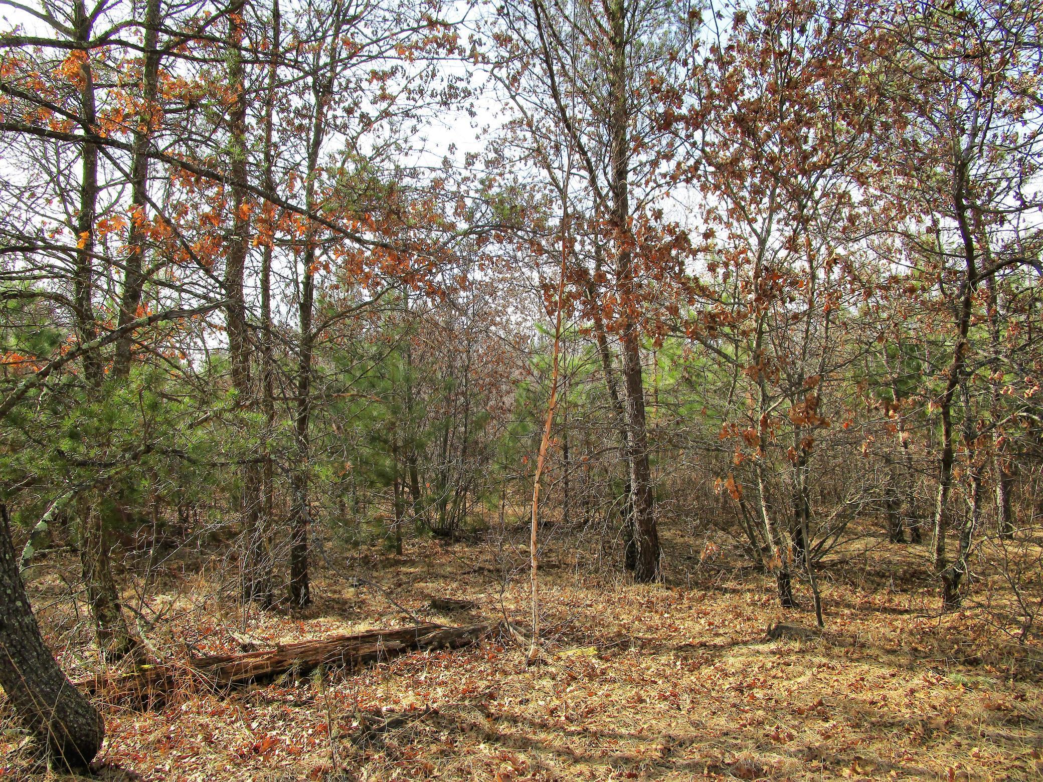 Lot 1 Bloom Road Grantsburg, WI 54840 - Photo 1 of 1