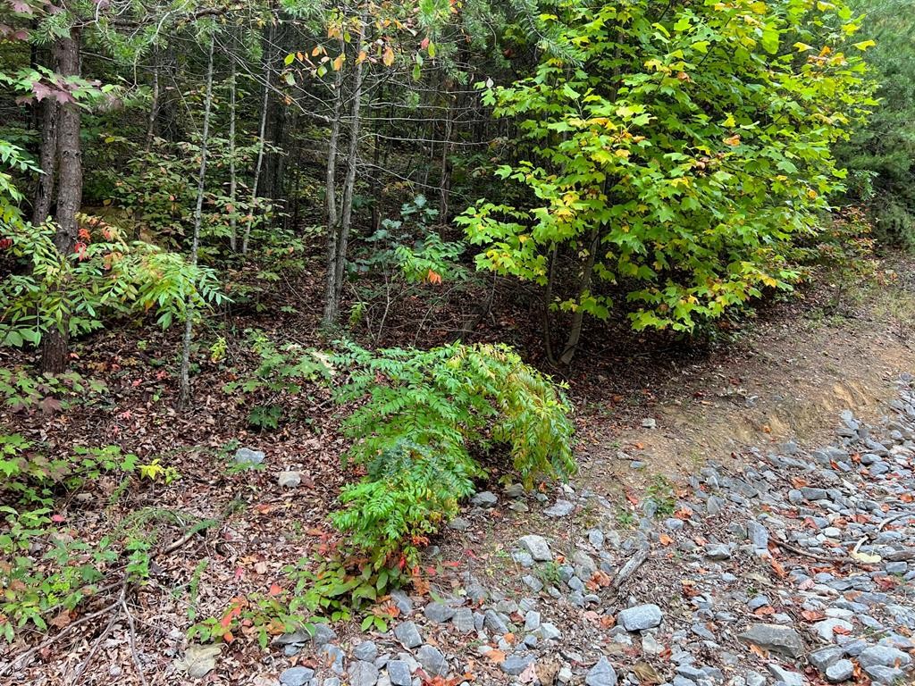 30 Ridgeback Lane Sevierville, TN 37862 - Photo 24 of 34