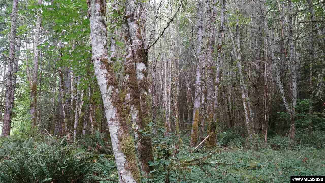 33600 Southwest Sw Highway Sandy, OR 97055 - Photo 4 of 32