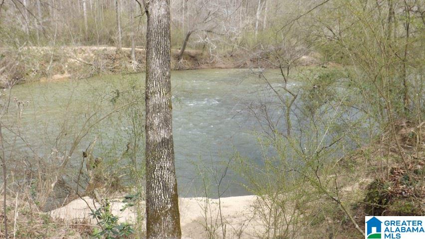 435 Wow Road, Unit 59 Blountsville, AL 35031 - Photo 35 of 49