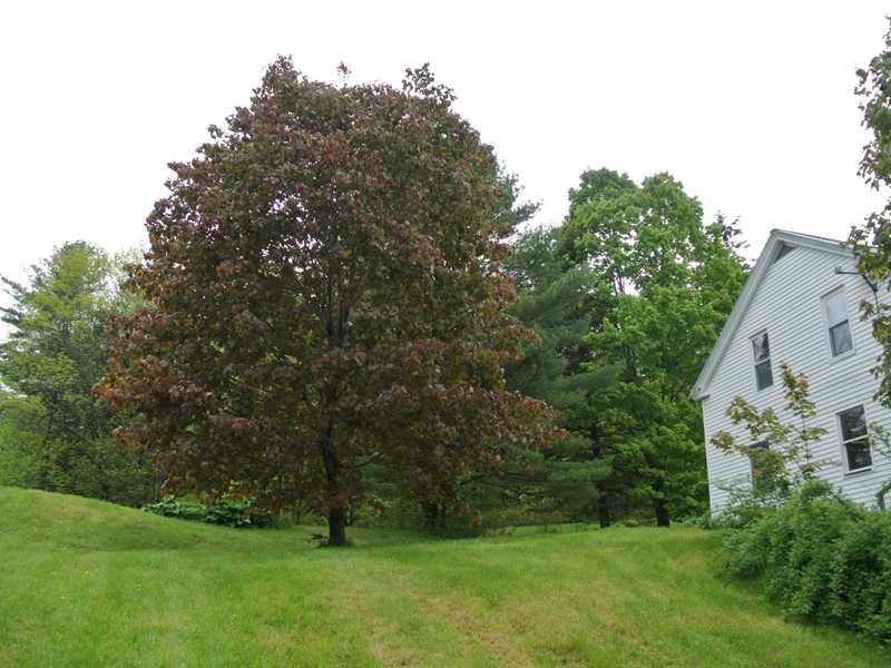 10 Turmel Road Livermore Falls, ME 04254 - Photo 3 of 11 Exterior Front.