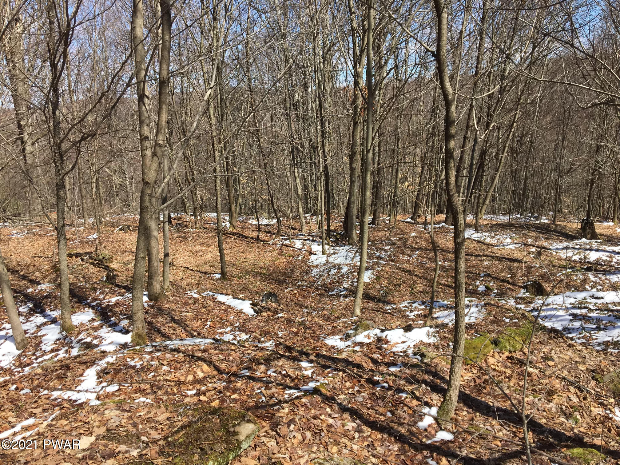 Starrucca Creek Road Susquehanna, PA 18847 - Photo 7 of 11