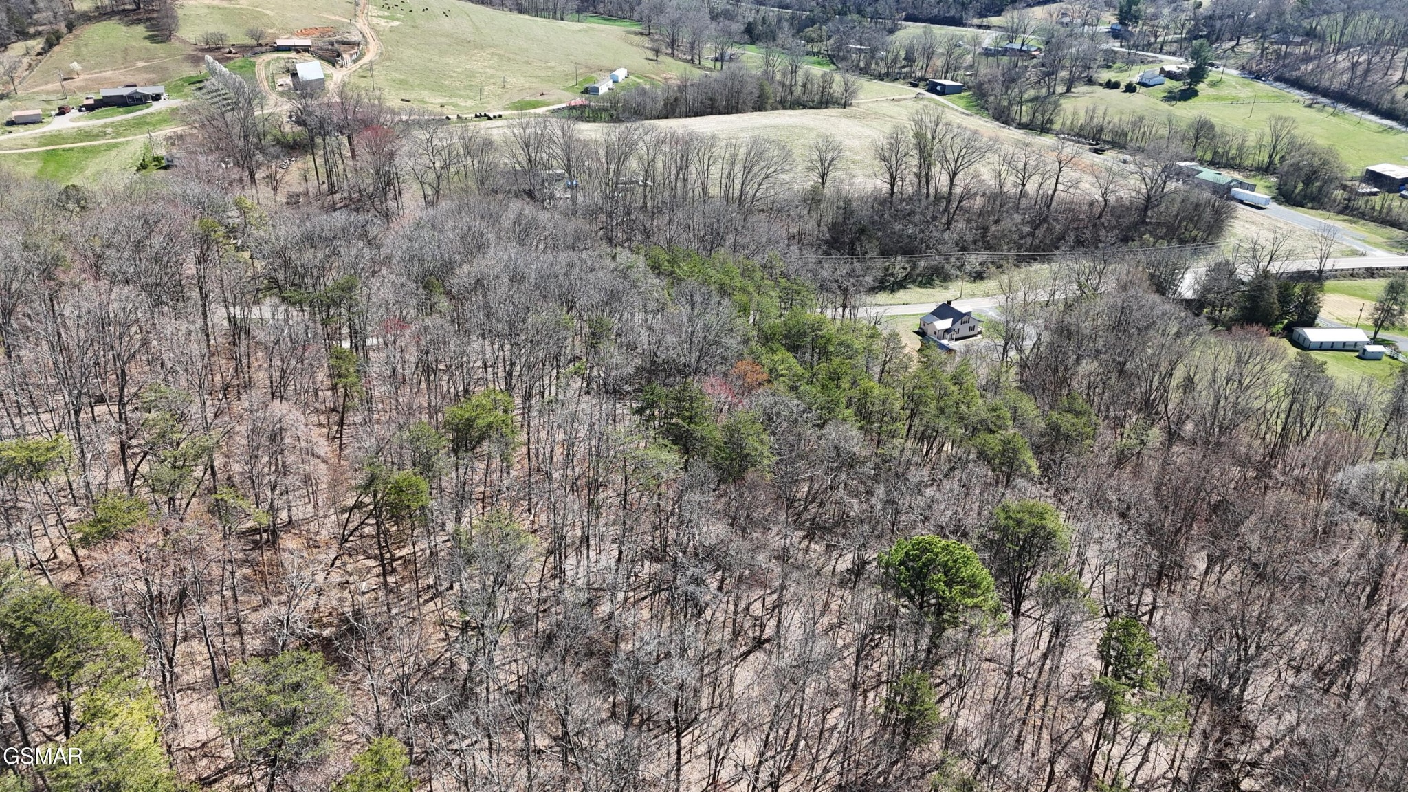 1638 Highway 92 Rutledge, TN 37861 - Photo 8 of 28