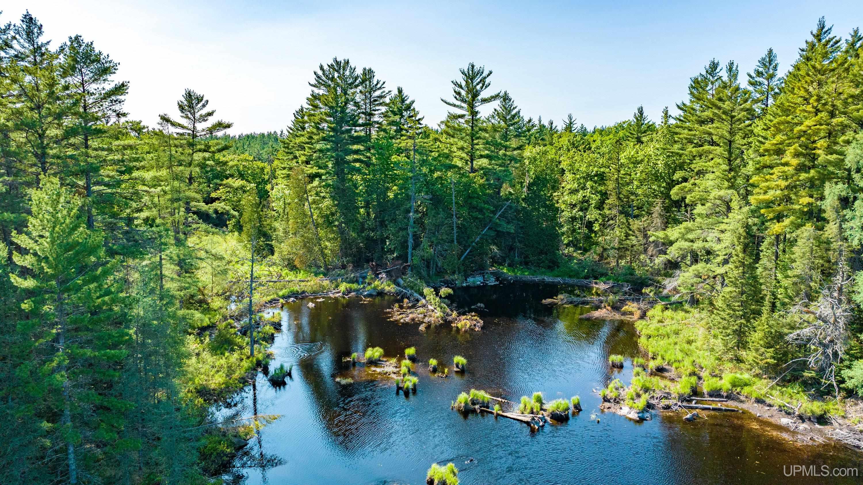 Tbd Tbd Dommer Lake Road Michigamme, MI 49861 - Photo 4 of 25