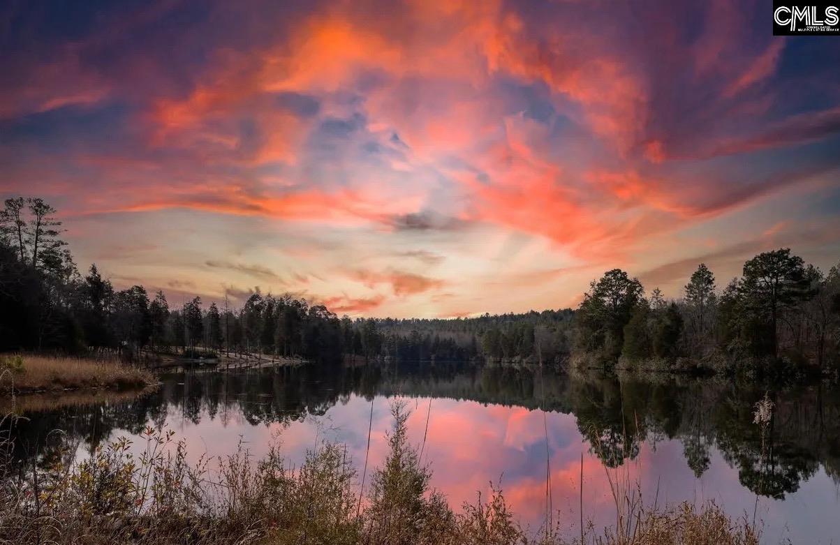 616 Rose Quartz Lane Lexington, SC 29073 - Photo 40 of 44 627109-2152b0fe-f6a7-4629-bfa5-5180359a3