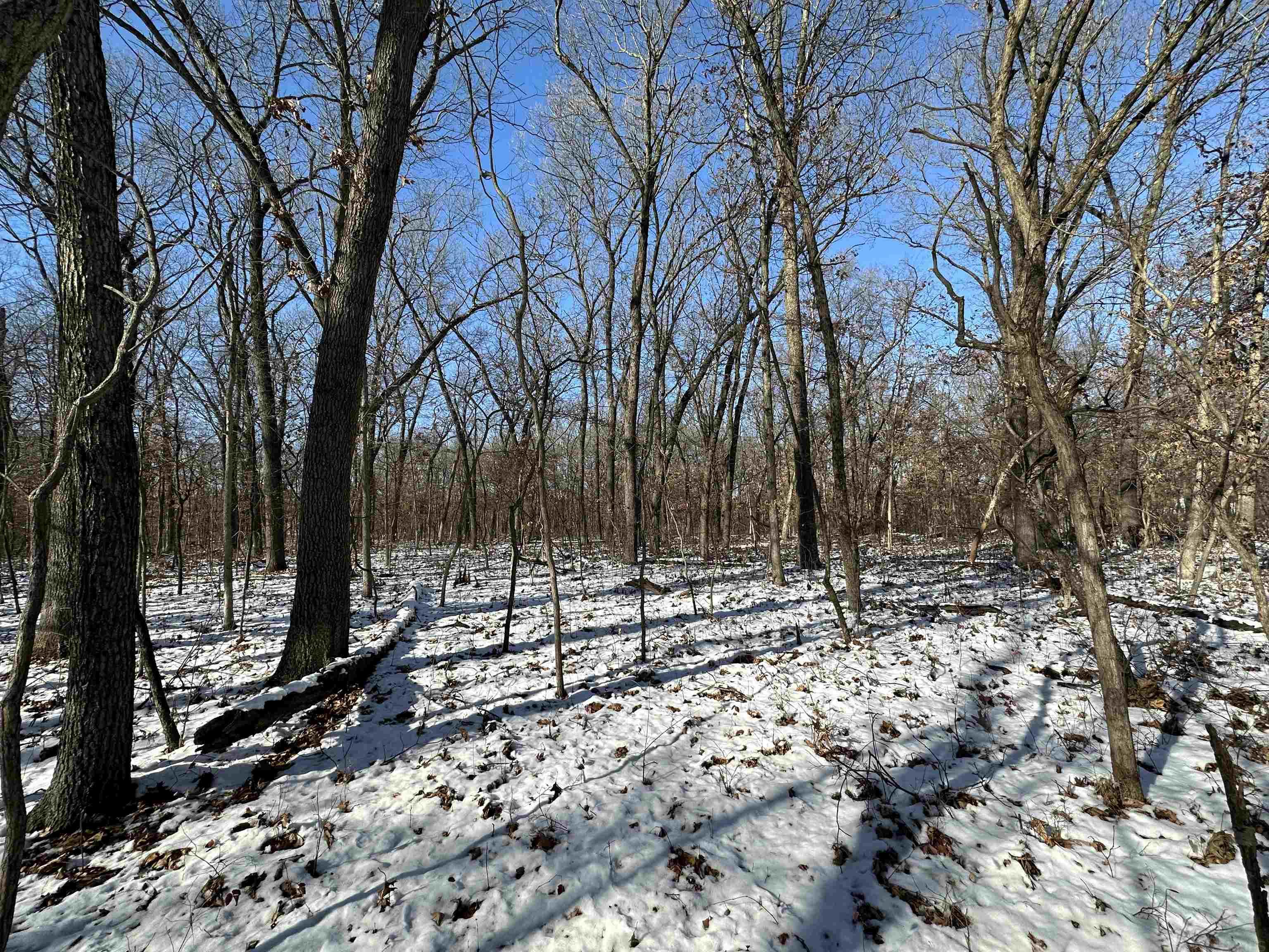 State Rd State Road Knox, IN 46534 - Photo 12 of 16