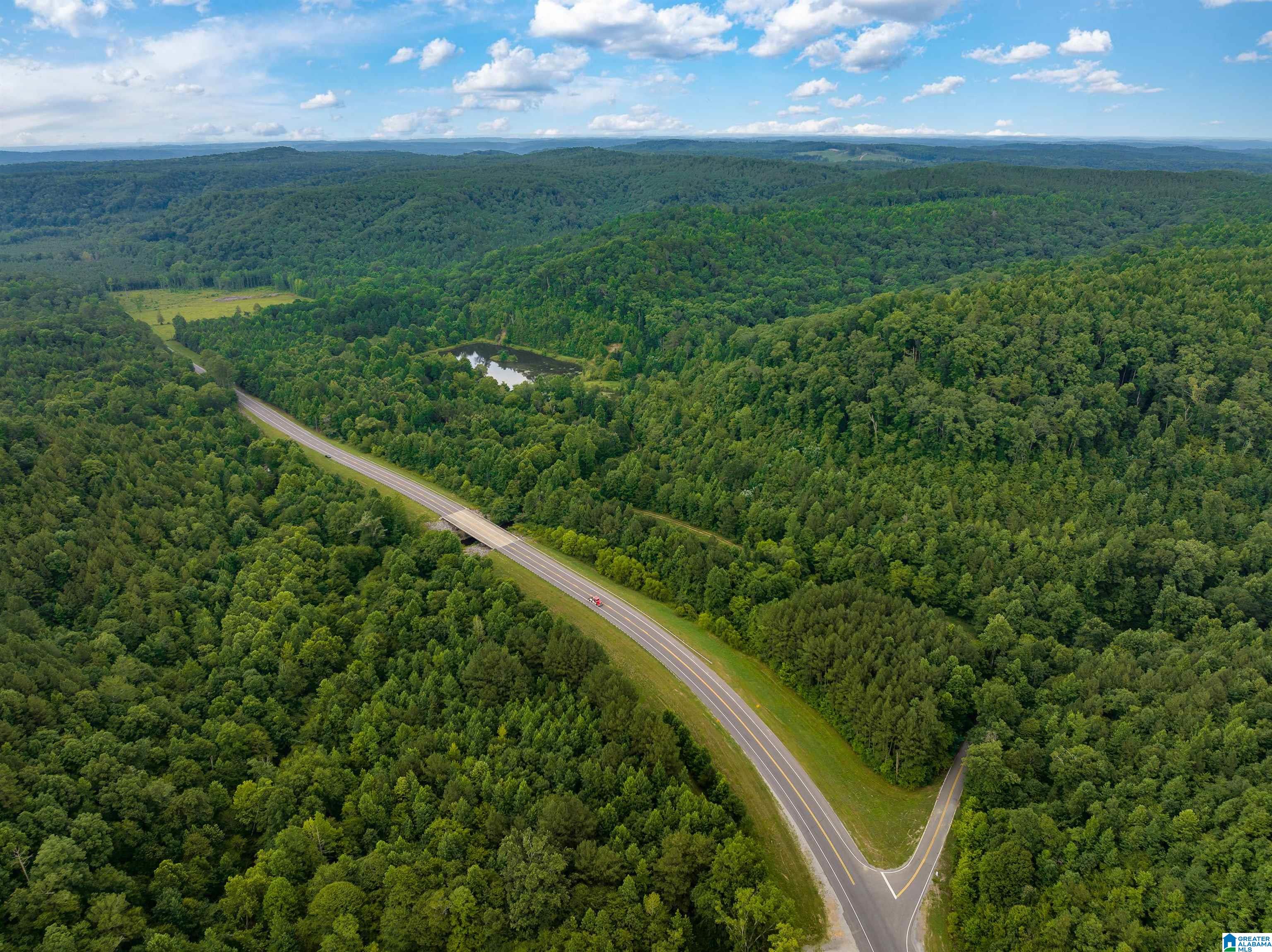 81 Frozen Hollow Road, Unit 32 Carbon Hill, AL 35549 - Photo 4 of 42