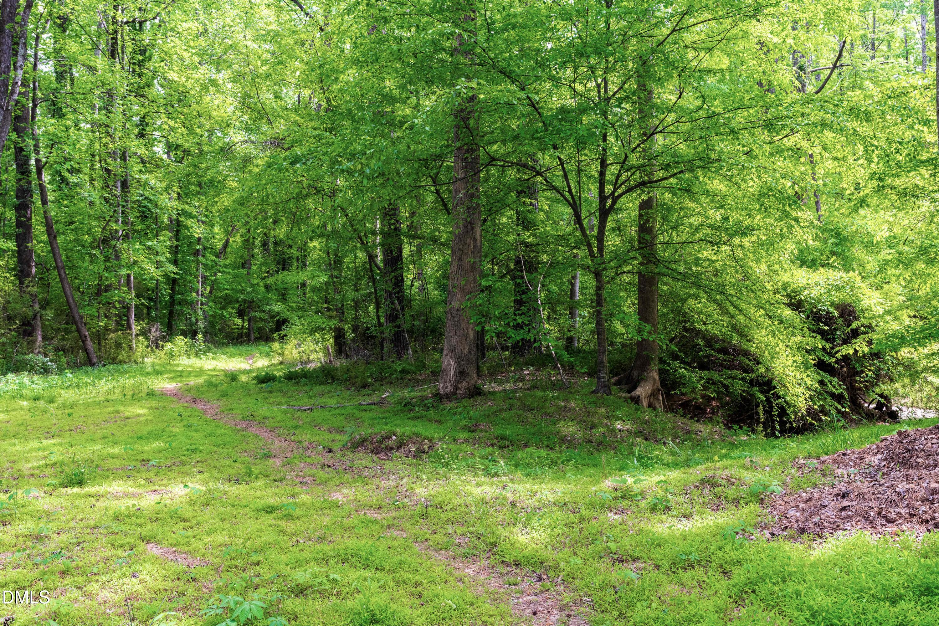 1109 Theresa Court Raleigh, NC 27615 - Photo 36 of 39 a view of a grassy field with trees in the background