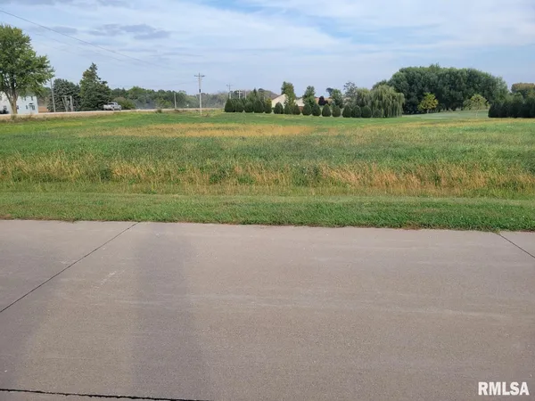 a view of a field with an trees