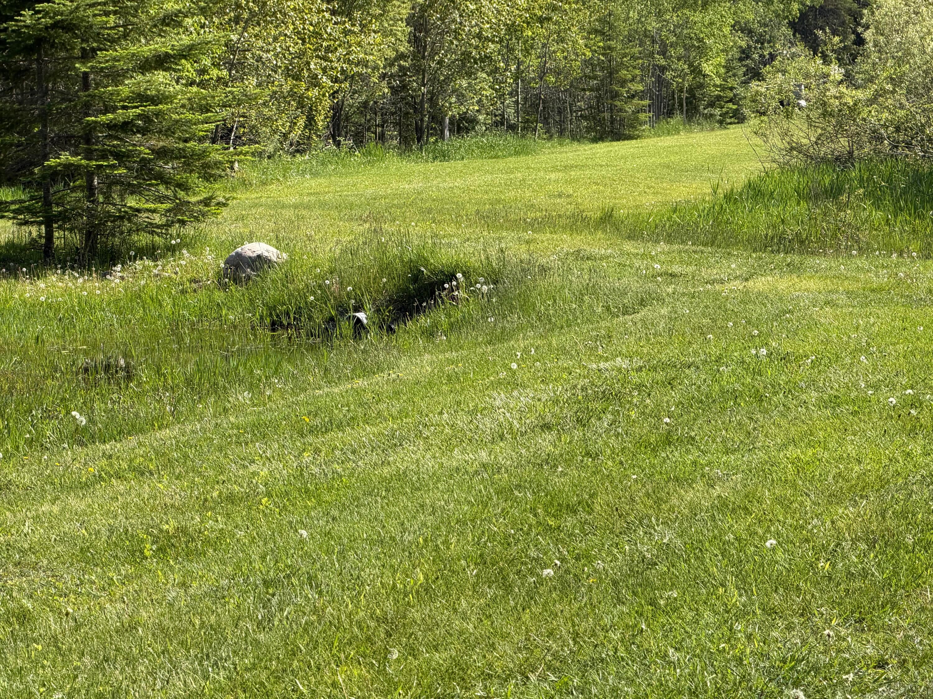 9201 Wreck Road Alpena, MI 49707 - Photo 97 of 99 Gallery Image 97