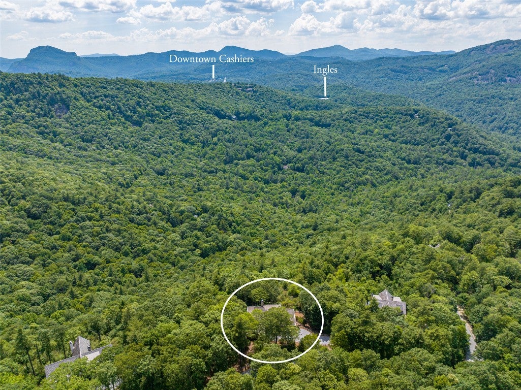 340 East Ridge Road Cashiers, NC 28717 - Photo 61 of 70 Gallery Image 61