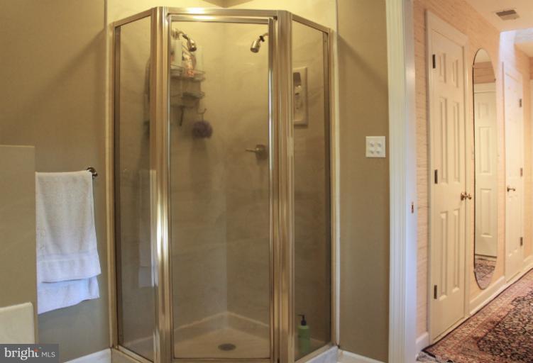 181 McGuire Road Winchester, VA 22603 - Photo 3 of 30 Bath (Master)