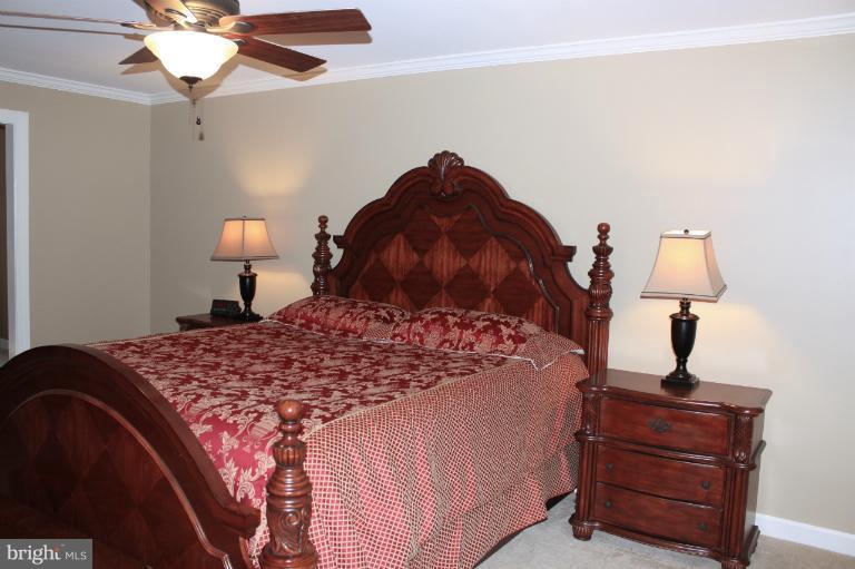 181 McGuire Road Winchester, VA 22603 - Photo 26 of 30 Bedroom (Master)