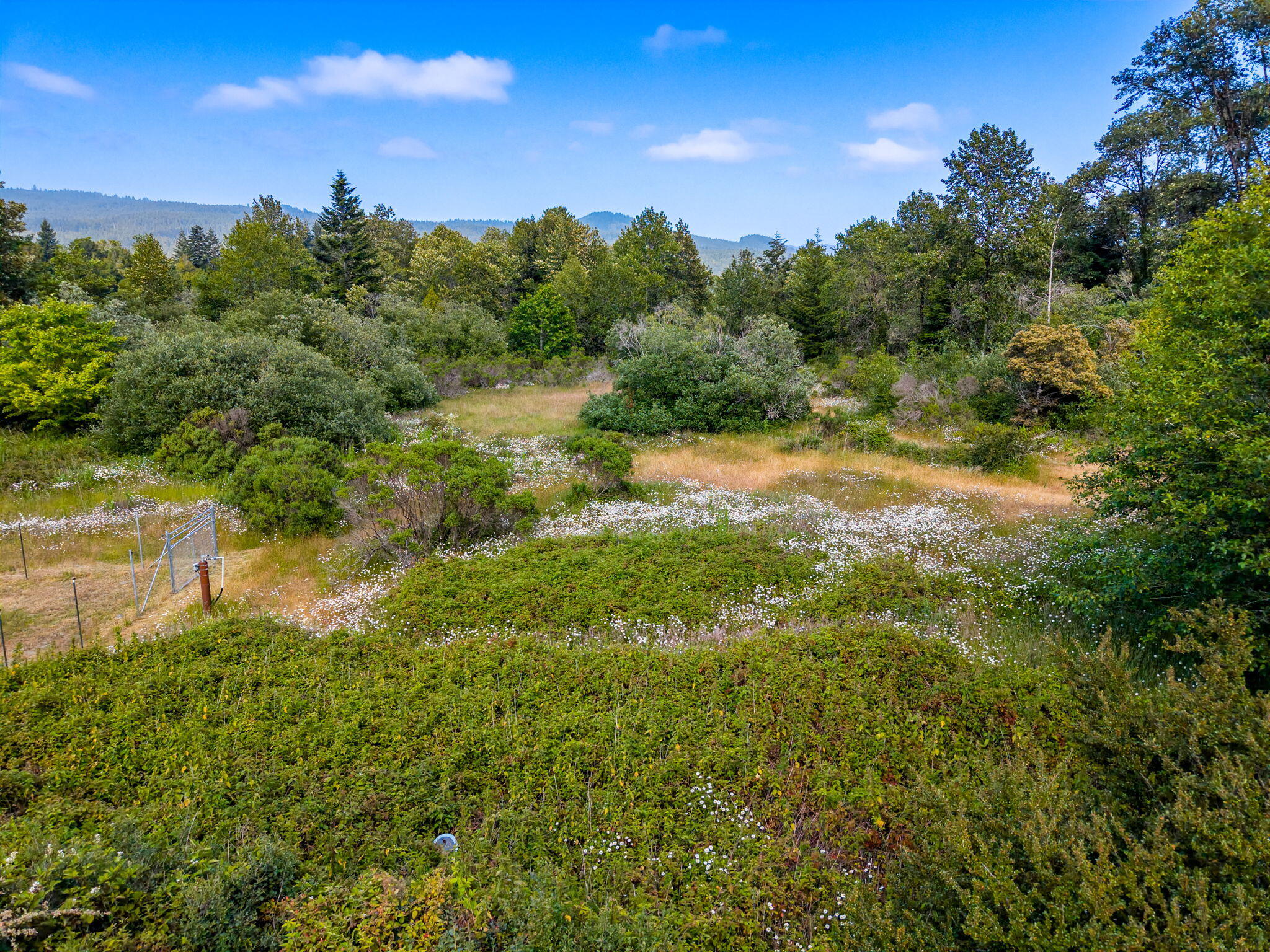 1035 Warren Creek Road Arcata, CA 95521 - Photo 52 of 61