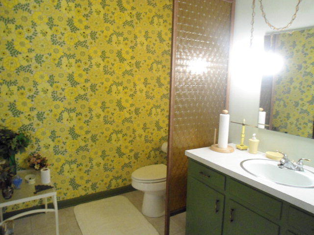 197 Fox Road Rockingham, NC 28379 - Photo 3 of 17 fox bath