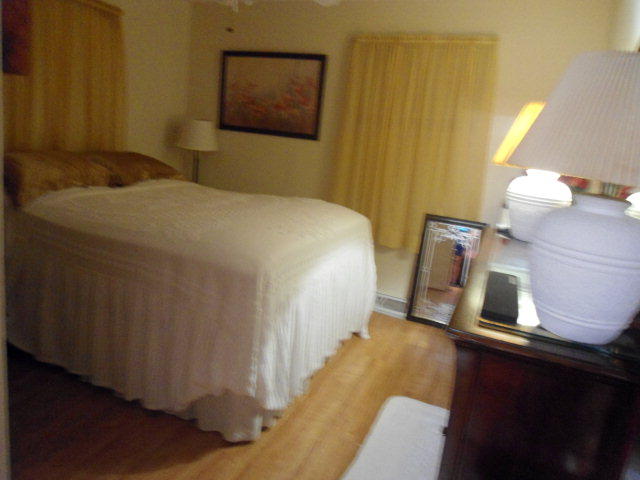 197 Fox Road Rockingham, NC 28379 - Photo 4 of 17 fox bed 2
