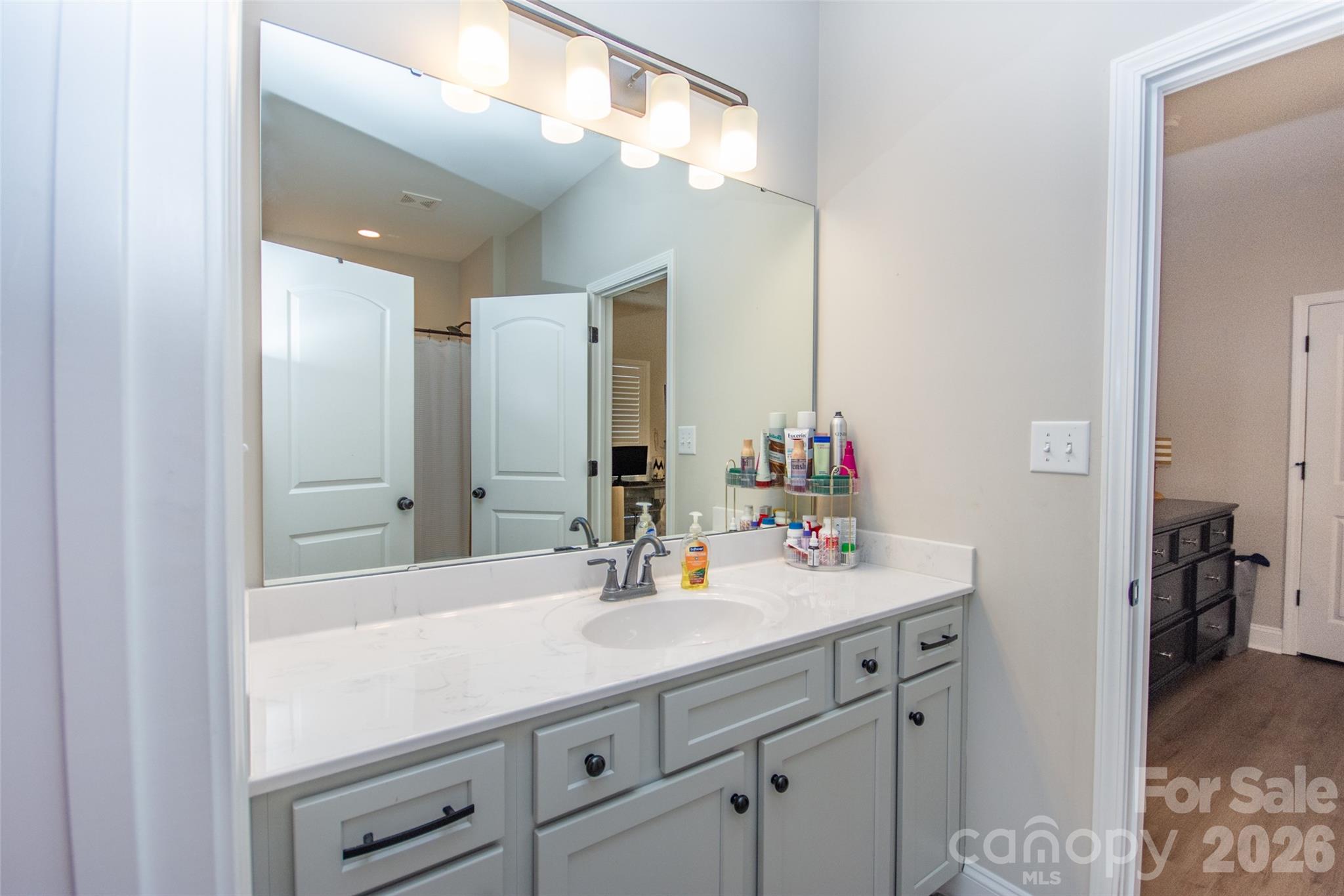 540 New Salem Road, Unit 1011 Statesville, NC 28625 - Photo 15 of 36 a bathroom with a sink and a mirror