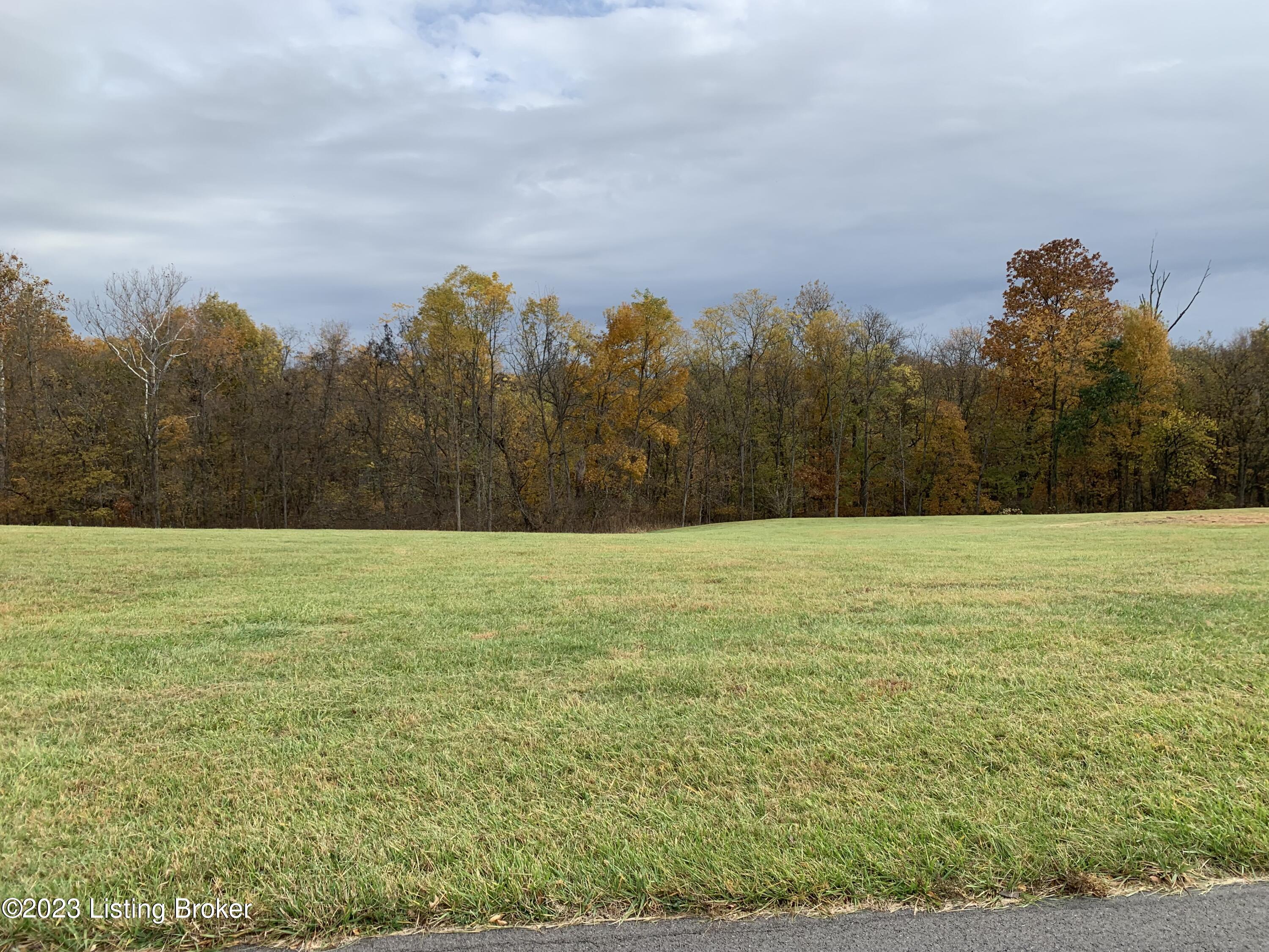 205 Owl Ridge Road Shelbyville, KY 40065 - Photo 6 of 7 IMG_9597