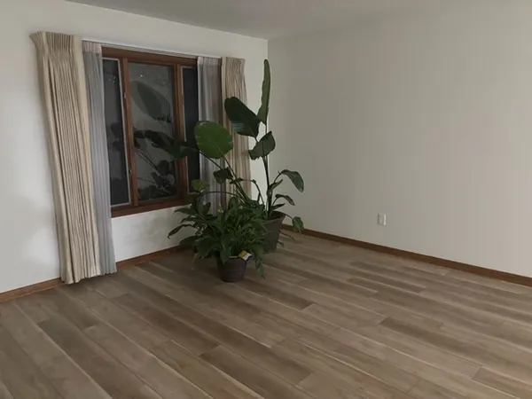 a view of a hallway with wooden floor and a potted plant