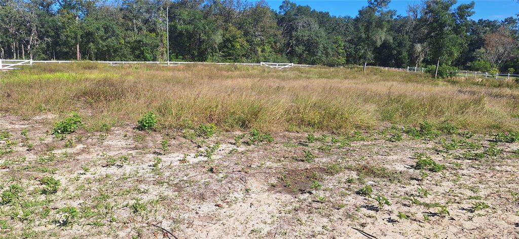 7285 Norman Street Webster, FL 33597 - Photo 11 of 11 a view of a field with trees in it